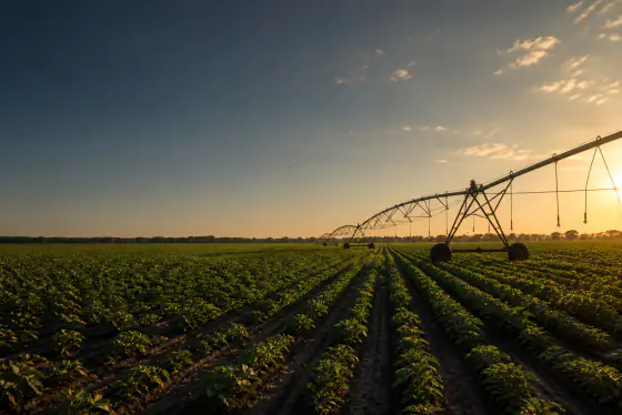 Agriculture